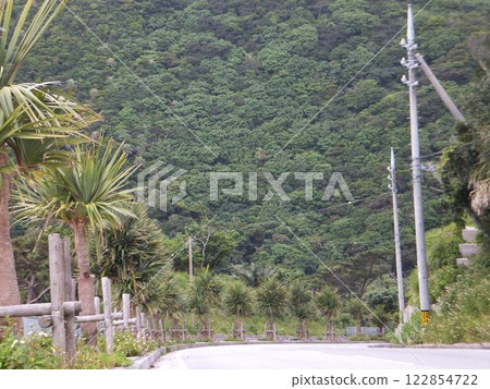 Roads on Tokashiki Island Roads on Tokashiki Island 122854722