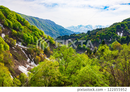 北阿爾卑斯山的春季自然風景 122855952