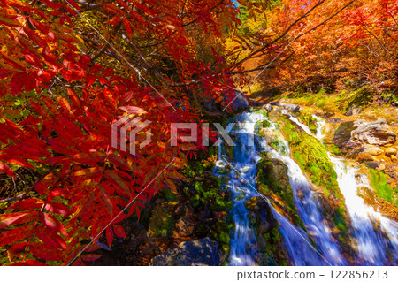 Autumn leaves of Nanakamado 122856213