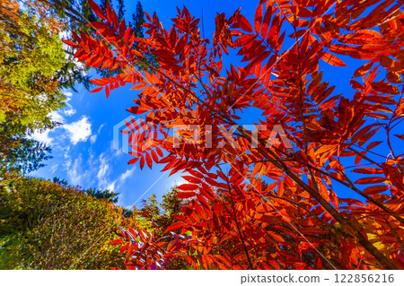 Nanakamado秋葉 Nanakamado秋葉 122856216