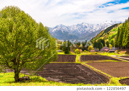 白馬村青荷村的春景 122856497