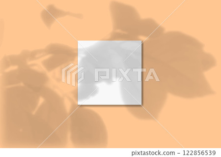 Natural light casts shadows from a twig with flower leaves on 1 square sheets of white paper lying on a orange textured background 122856539