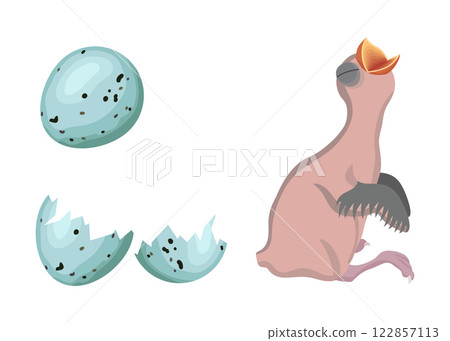 Newborn bird hatching from a turquoise egg with dark spots Newborn bird hatching from a turquoise egg with dark spots 122857113