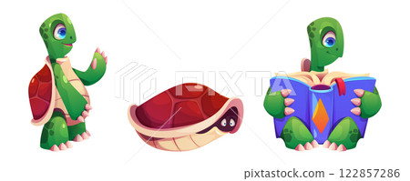 Cute turtles set isolated on white background Cute turtles set isolated on white background 122857286