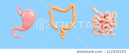 3d set of human internal organs of digestive system. Realistic stomach, colon, large and small intestine isolated medical render icon. Abdominal part of body anatomy concept, blue bg. 3D illustration 122858185