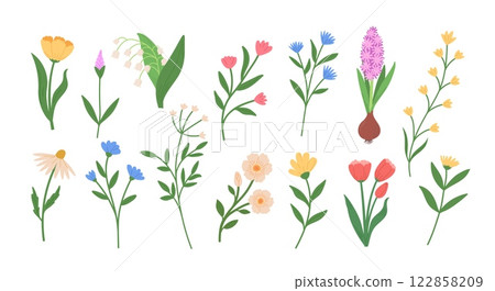 Hand draw red tulip vector illustratSet of different blossom spring flowers. Botanical vector illustrations. Wildflowers on white backgroundion. Spring blossom flower 122858209