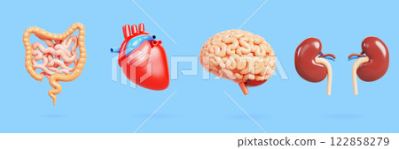 3d set of realistic human internal organs. Heart, brain, intestine, kidneys isolated on blue background. Body anatomy, medical render icon. Concept of health, medicine and education. 3D illustration 122858279