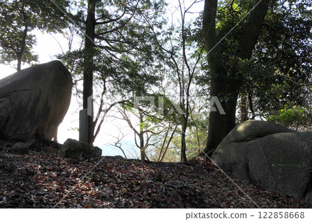 Daarabo shoulder stone Daarabo shoulder stone 122858668