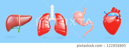 3d set of human internal organs, heart, liver, lungs and stomach isolated on blue background. Realistic body anatomy, concept of health, medical and education. Cartoon render icon. 3D illustration 122858805