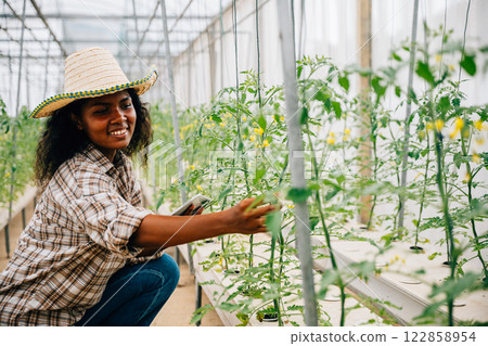 In a technological greenhouse a black woman agronomist checks and controls tomato quality with a tablet. Joyful farmer inspecting and caring for plants in a smart farming setting. 122858954