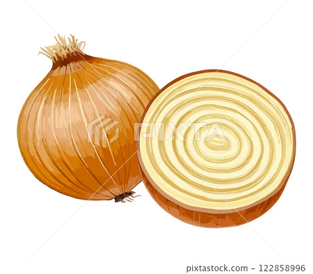 AI-generated watercolor illustration of cut onions 122858996