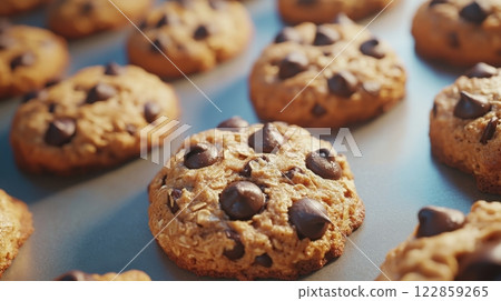 Freshly Baked Chocolate Chip Cookies on a Baking Tray 122859265