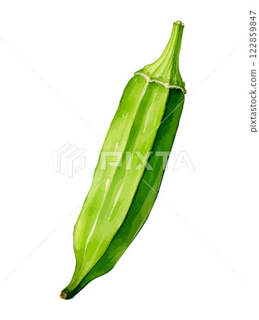 秋葵水彩插圖-AI生成 秋葵水彩插圖-AI生成 122859847