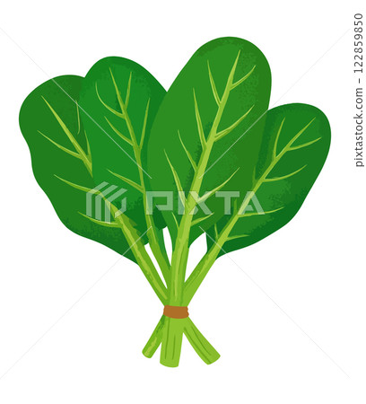 由AI生成的簡單菠菜插圖 122859850