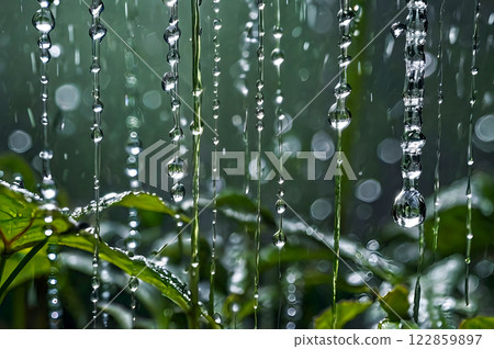 rain drops on grass 122859897