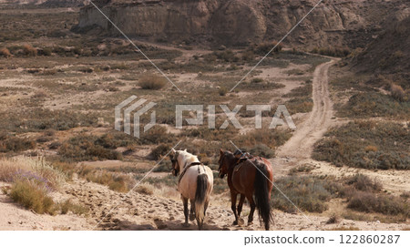 pair of horse run on the  Issyk-Kul lakeside.  Kyrgyzstani is nomads in central asia 122860287