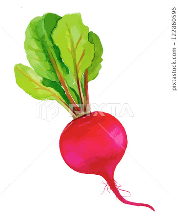 Watercolor illustration of radish - AI generation 122860596