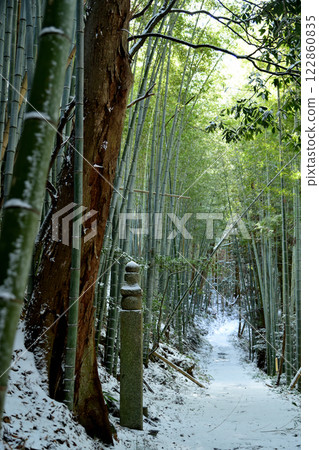 Koyasan Town Stone Road (172 stone blocks) [Kudoyama Town, Wakayama Prefecture] 122860835