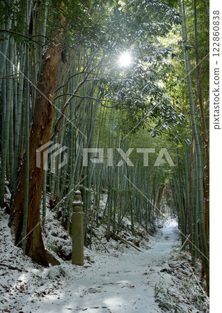 高野山町石路（172塊石塊）[和歌山縣九度山町] 122860838