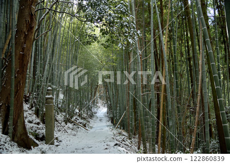 Koyasan Town Stone Road (172 stone blocks) [Kudoyama Town, Wakayama Prefecture] 122860839