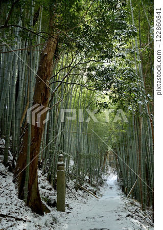 高野山町石路（172塊石塊）[和歌山縣九度山町] 122860841