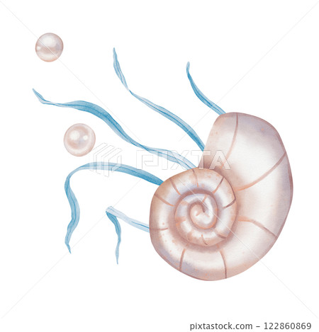 Watercolor composition of Seashell and Seaweed, pearl. Hand drawn illustration of Sea Shell and violet Algae on isolated background. Undersea element for design in marine vintage style. Watercolor composition of Seashell and Seaweed, pearl. Hand drawn illustration of Sea Shell and violet Algae on isolated background. Undersea element for design in marine vintage style. 122860869