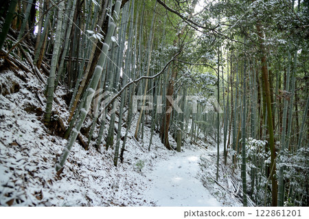 高野山石板路（172塊石板）[和歌山縣九度山町] 122861201