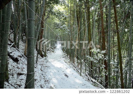 高野山石板路（172塊石板）[和歌山縣九度山町] 122861202