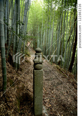 Koyasan Town Stone Road (172 stone blocks) [Kudoyama Town, Wakayama Prefecture] 122861316