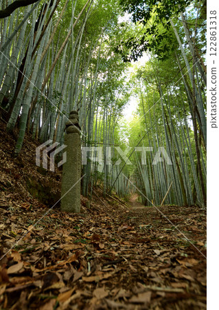 高野山町石路（172塊石塊）[和歌山縣九度山町] 122861318