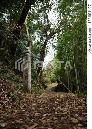 高野山石板路（170塊石板）[和歌山縣九度山町] 122861427