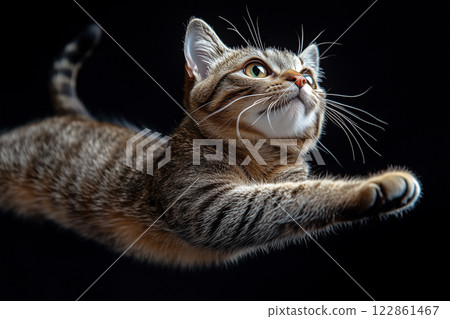 Leaping Cat 122861467