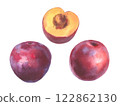 Hand drawn watercolor illustration, set of fruit plum isolated on white background. Watercolor sketch. 122862130