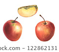 Watercolor set of red apple. Realistic fruits, half, slice, botanical watercolor illustrations. Artwork Sweet food or juice for label design. 122862131