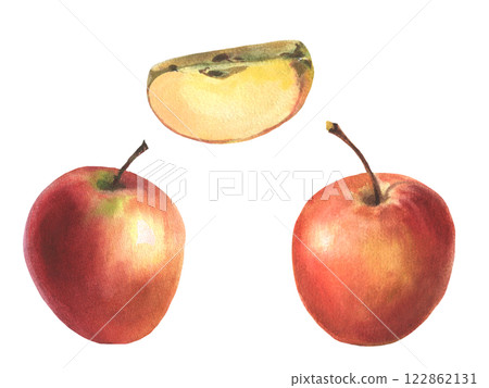 Watercolor set of red apple. Realistic fruits, half, slice, botanical watercolor illustrations. Artwork Sweet food or juice for label design. Watercolor set of red apple. Realistic fruits, half, slice, botanical watercolor illustrations. Artwork Sweet food or juice for label design. 122862131
