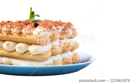 Classic Tiramisu Dessert on Rustic Plate.  On white background 122862978