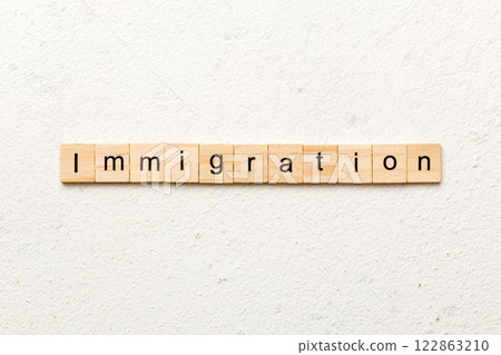 immigration word written on wood block. immigration text on table, concept immigration word written on wood block. immigration text on table, concept 122863210
