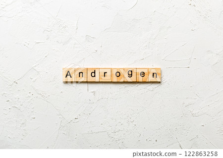androgen word written on wood block. androgen text on table, concept androgen word written on wood block. androgen text on table, concept 122863258