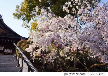 建君神社，位於京都市北區 122863440