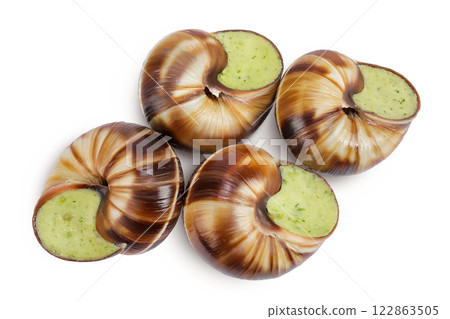 escargot snail filled with garlic and parsley butter isolated on white background. Top view. Flat lay escargot snail filled with garlic and parsley butter isolated on white background. Top view. Flat lay 122863505