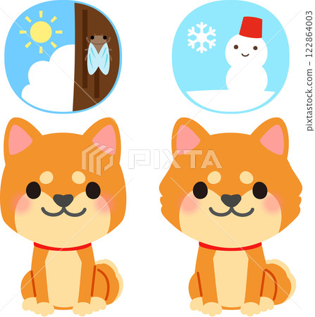 柴犬的夏季和冬季皮毛 122864003