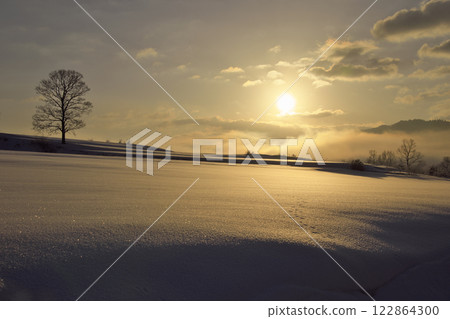 The morning sun illuminating the snowy fields (Hiruzen Plateau: Maniwa City, Okayama Prefecture) The morning sun illuminating the snowy fields (Hiruzen Plateau: Maniwa City, Okayama Prefecture) 122864300