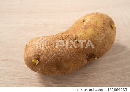 sprout potato bud sprout potato Sprouted potatoes ジャガイモ sprout 122864385
