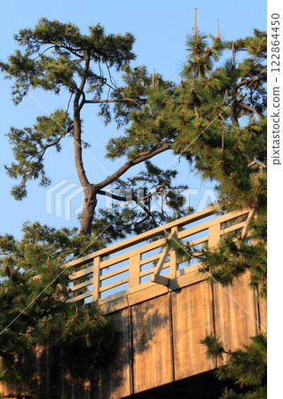 Yatate Bridge on the Soka Matsubara Promenade 122864450
