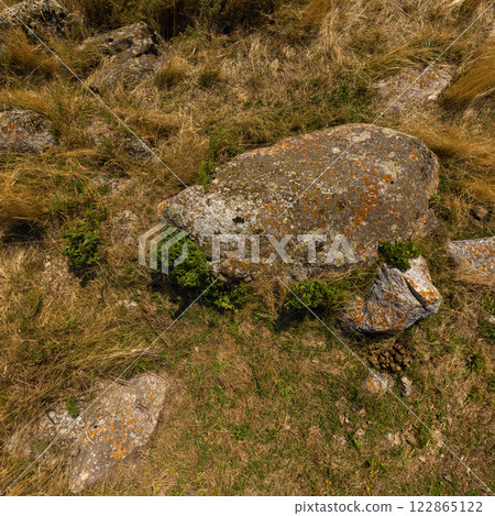 nadir texture and background of boulder on dry grass, directly above view nadir texture and background of boulder on dry grass, directly above view 122865122