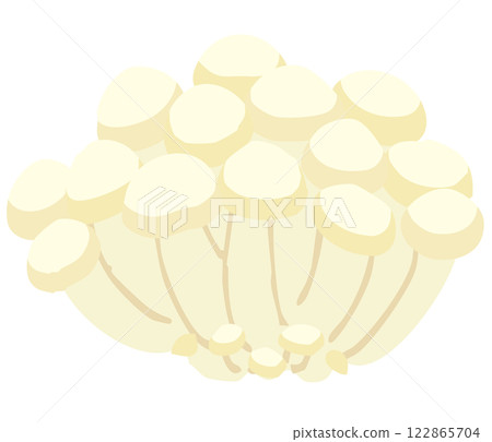 白蕈菇的插圖 122865704