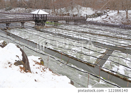 Azumino Daio wasabi farm of winter Azumino Daio wasabi farm of winter 122866140