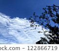 Scale clouds, sky and plants 122866719