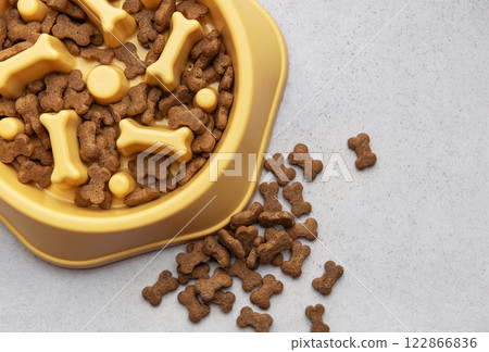 Dry dog food in slow feeder bowl preventing gulping 122866836