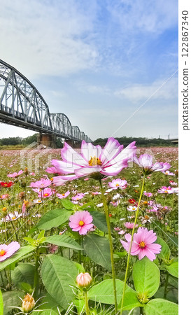 屏東下淡水溪舊鐵橋 屏東下淡水溪舊鐵橋 122867340